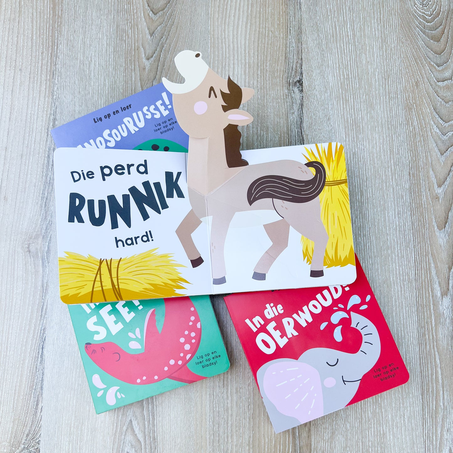 Afrikaans “Lig op en Leer” pop up book