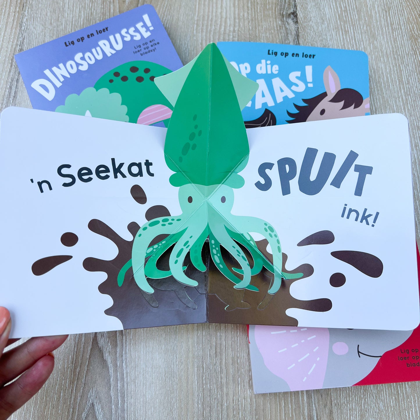 Afrikaans “Lig op en Leer” pop up book