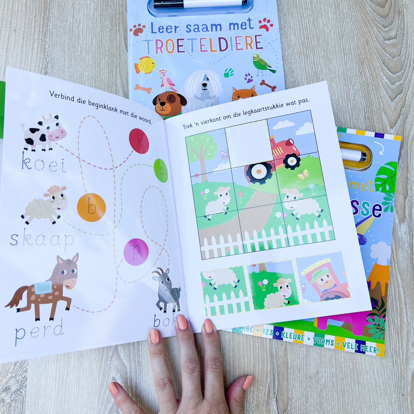 Afrikaans Toddler Activity book (Wipe clean- reusable)