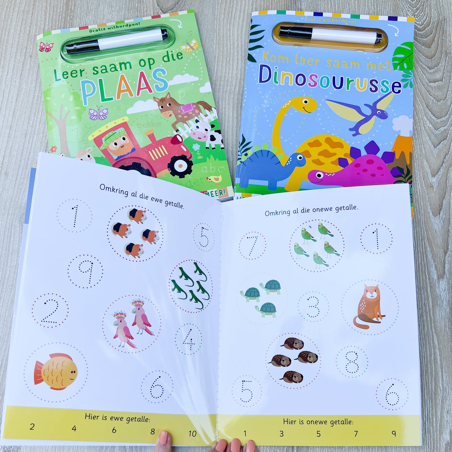 Afrikaans Toddler Activity book (Wipe clean- reusable)