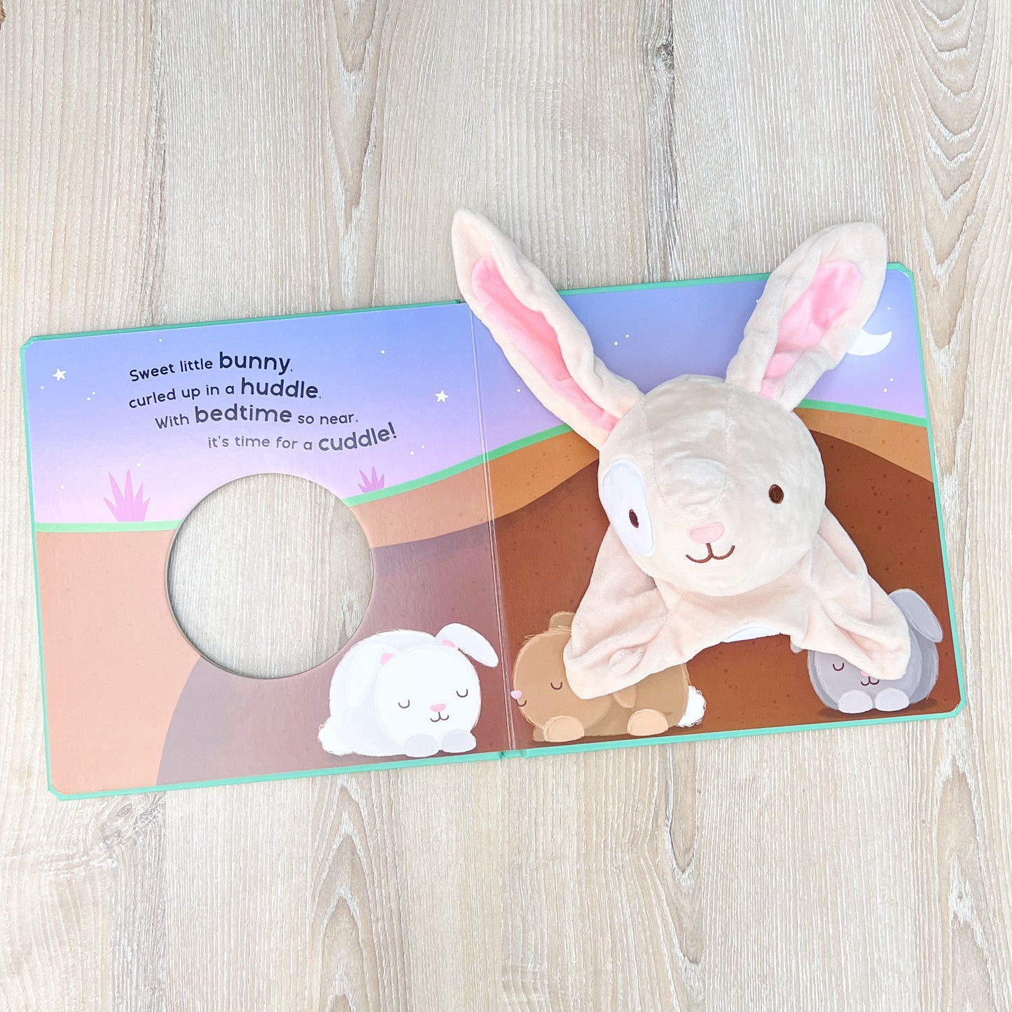 Soft Puppet book