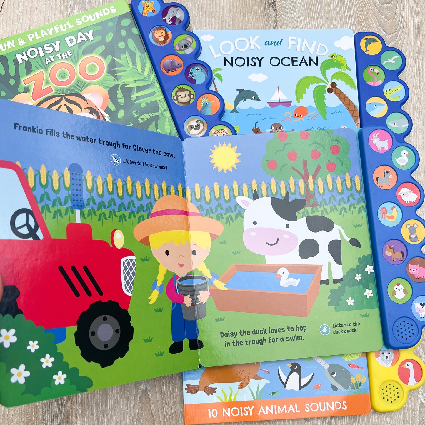 Interactive sound book