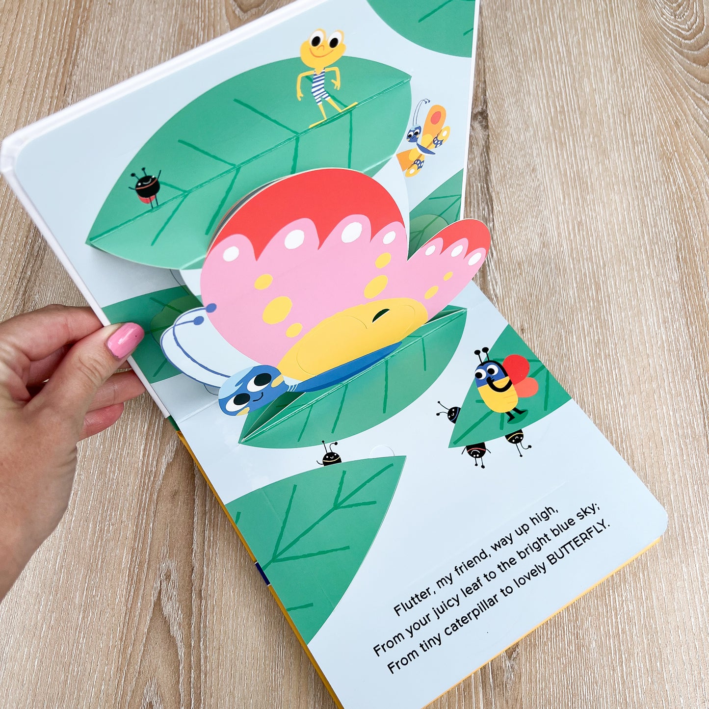 Peekaboo pop-up board books