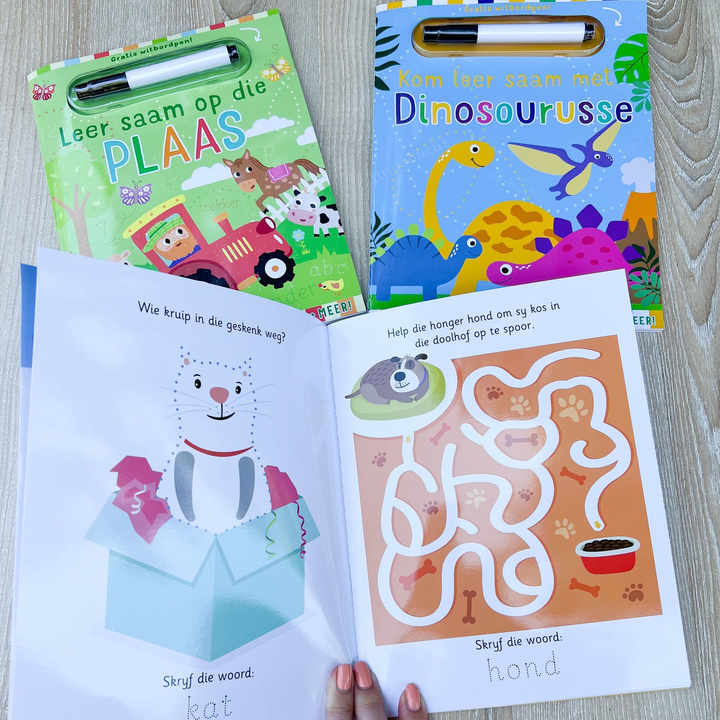 Afrikaans Toddler Activity book (Wipe clean- reusable)