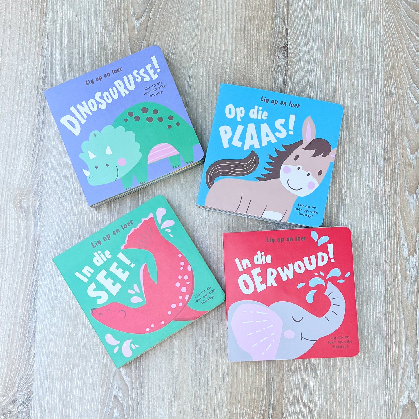 Afrikaans “Lig op en Leer” pop up book