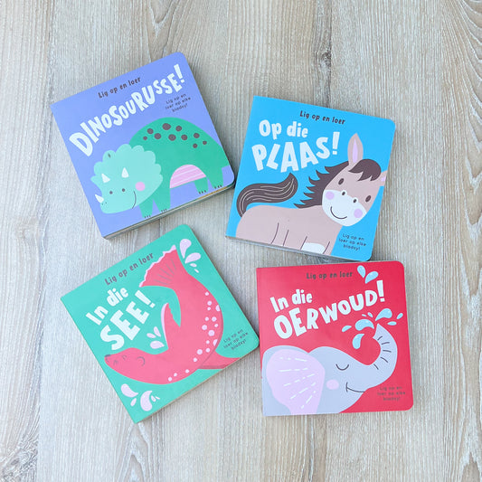 Afrikaans “Lig op en Leer” pop up book