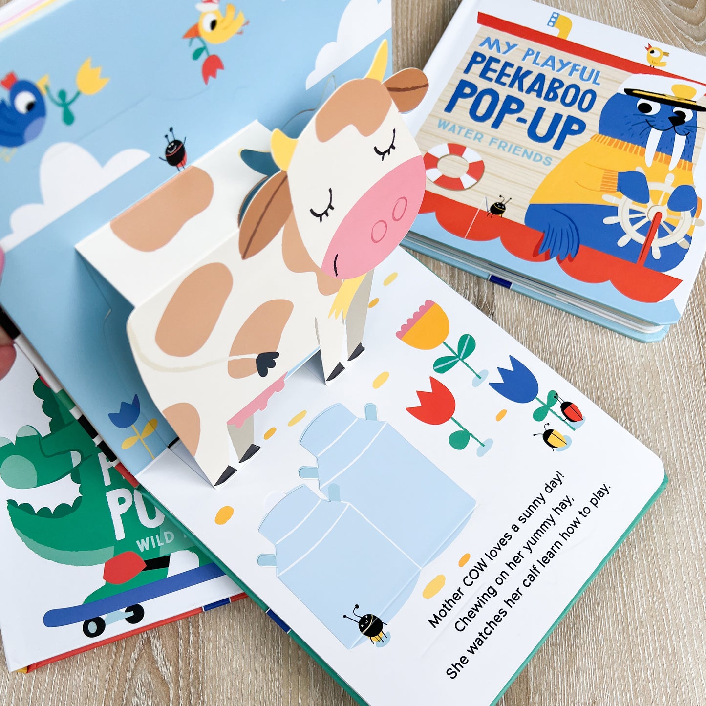 Peekaboo pop-up board books