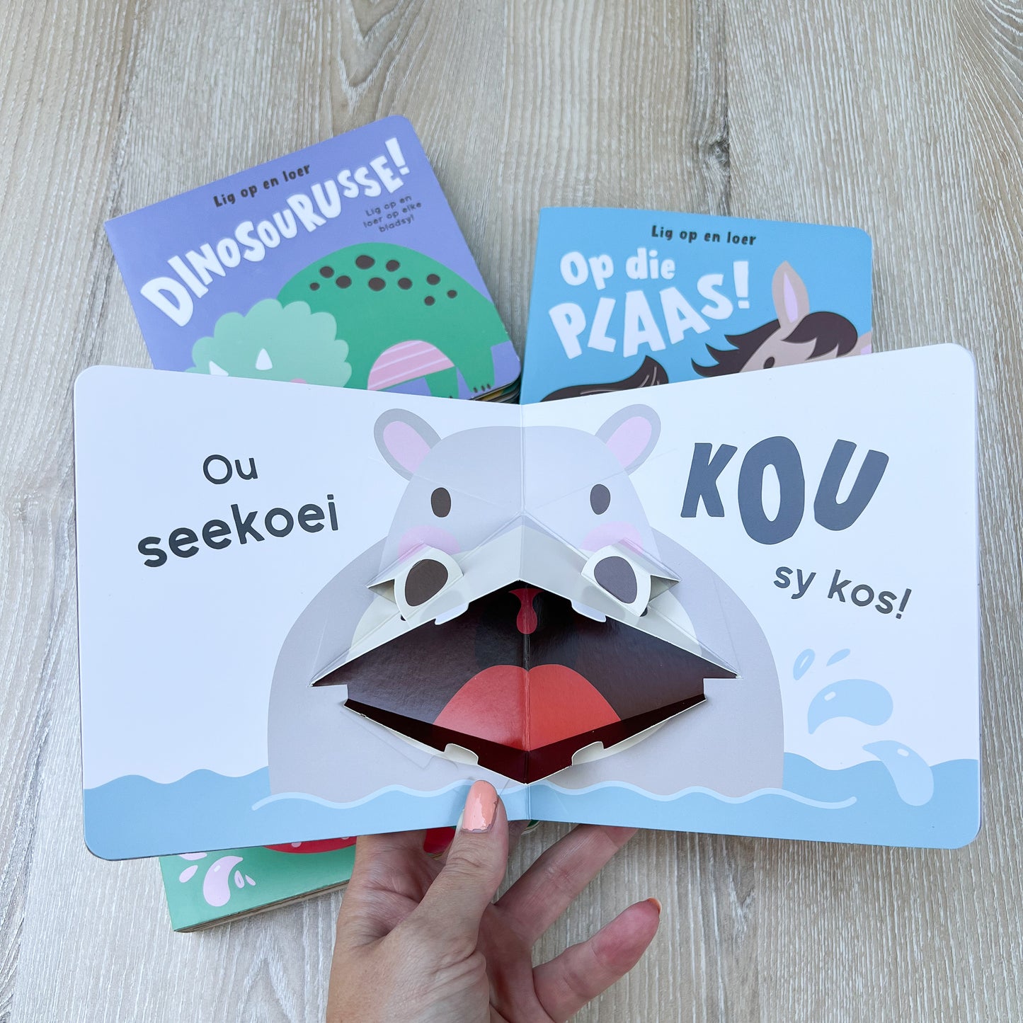 Afrikaans “Lig op en Leer” pop up book