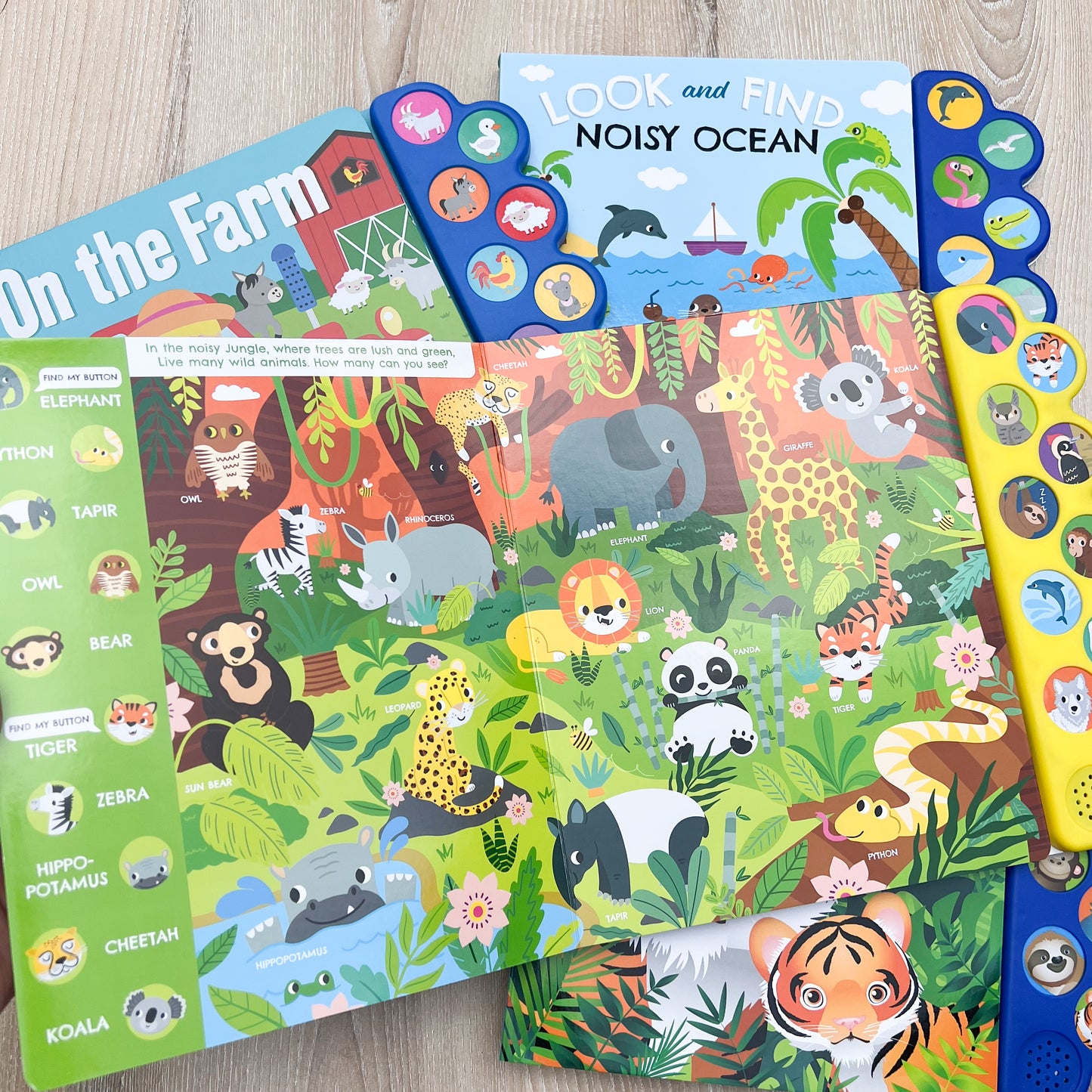 Interactive sound book