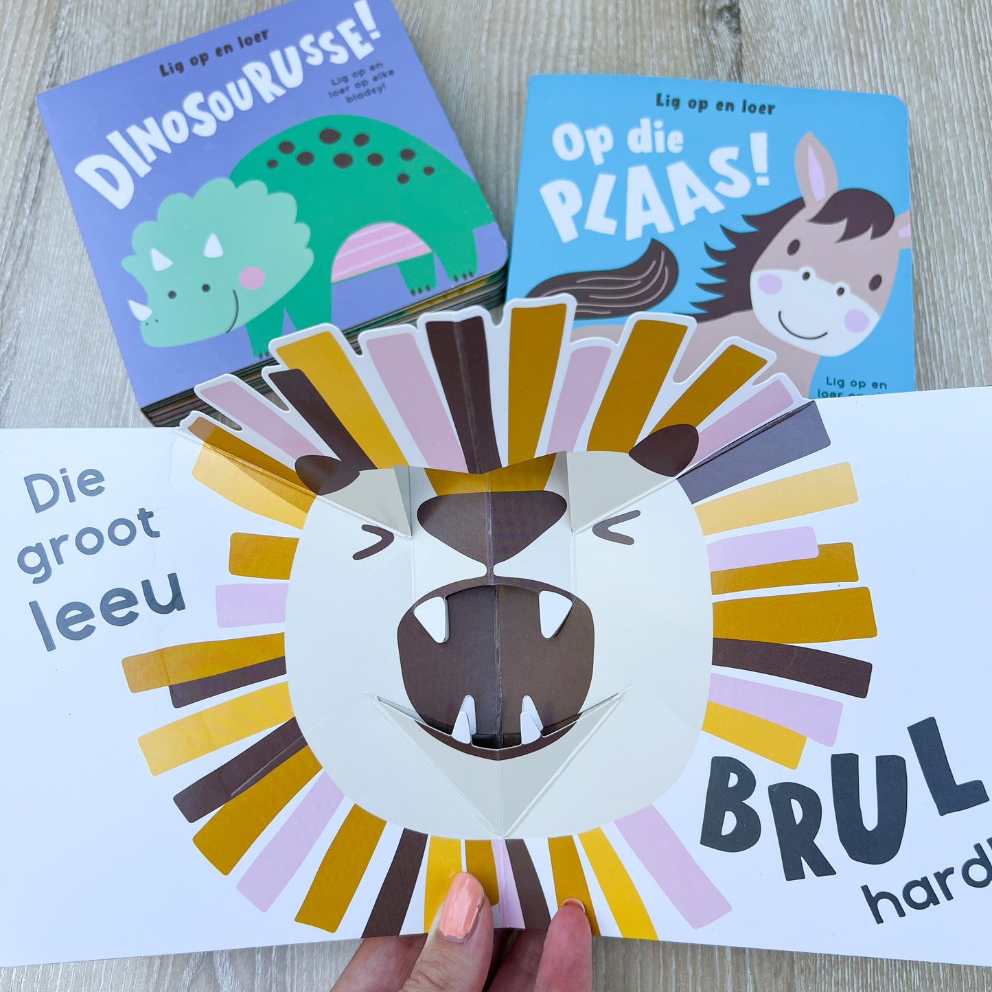 Afrikaans “Lig op en Leer” pop up book