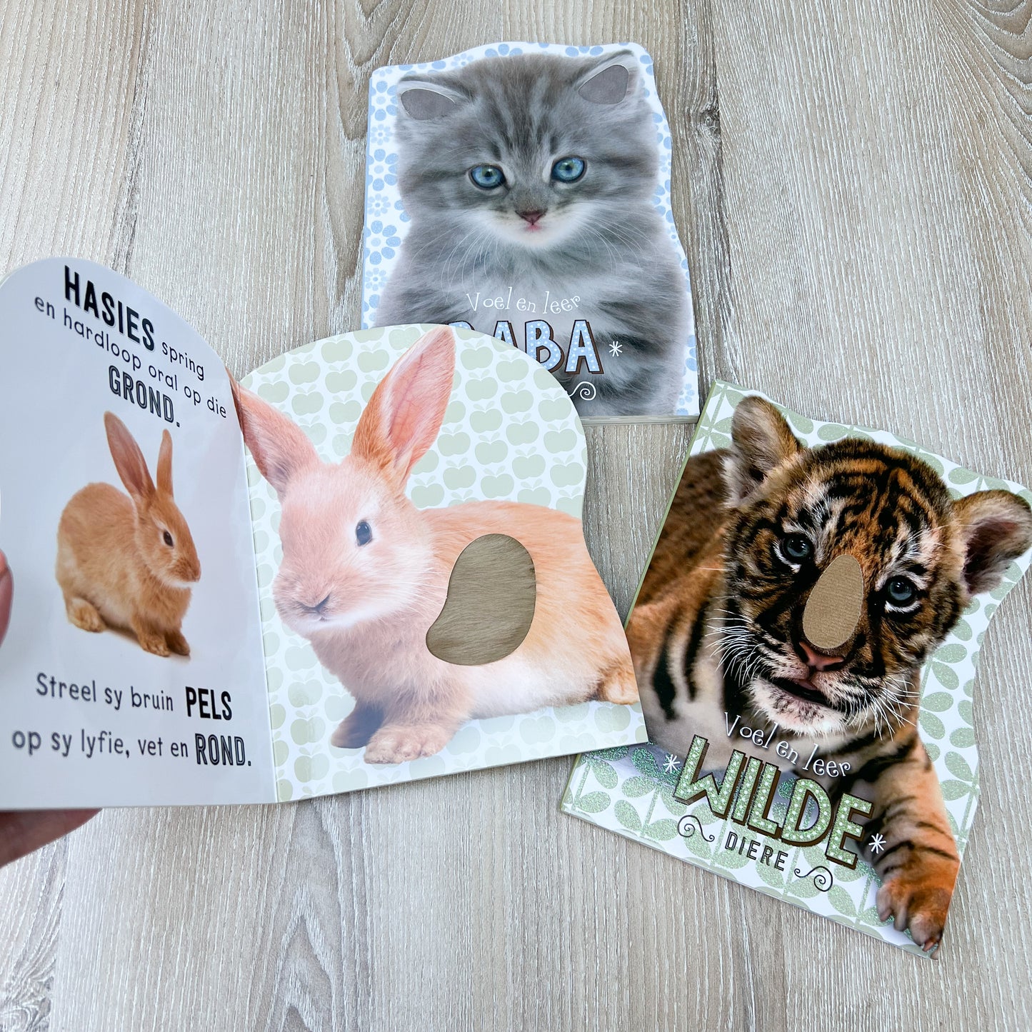 Afrikaans Touch and Feel books