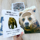 Afrikaans Touch and Feel books