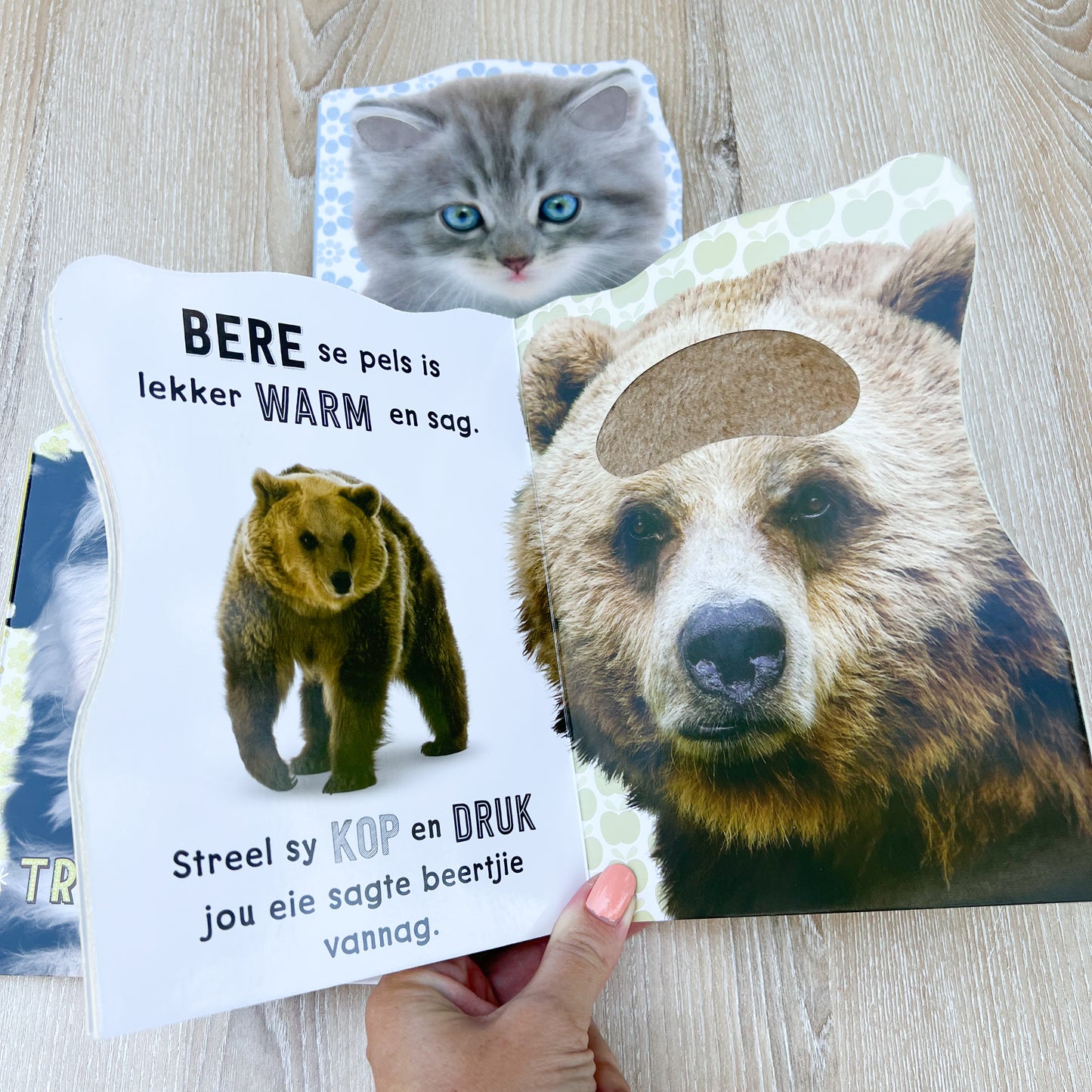 Afrikaans Touch and Feel books